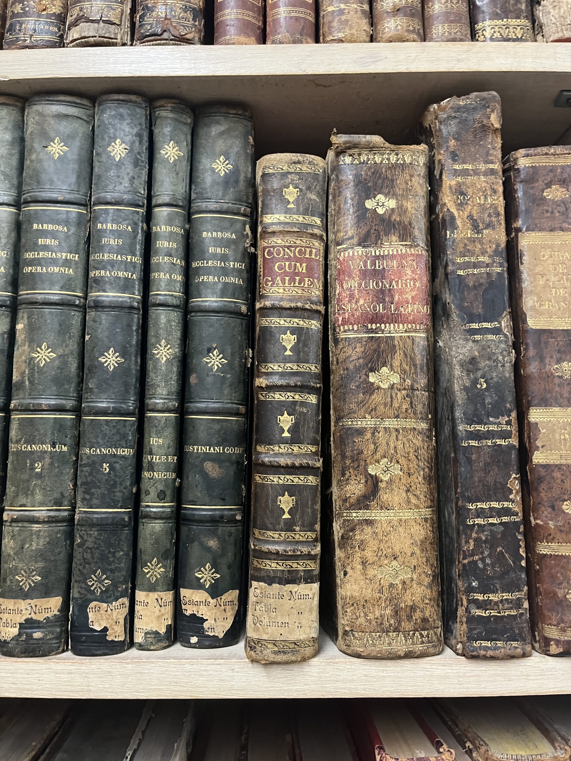 Detalle de lomos de libros antiguos